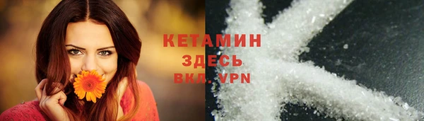 гидра Арсеньев