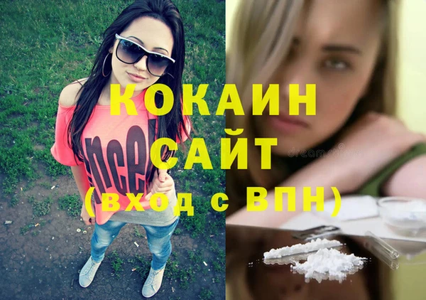 дмт Армянск