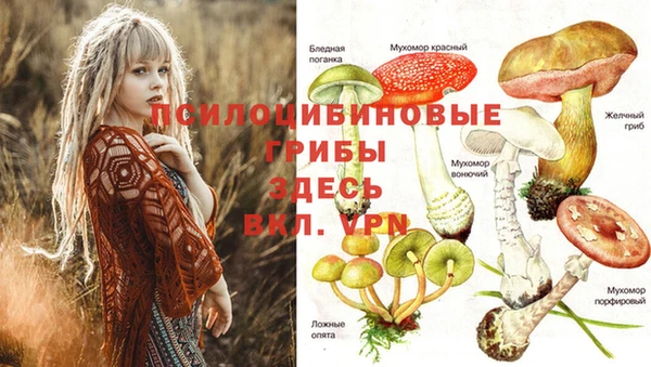 mdma Покров
