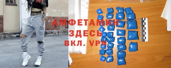 гидра Арсеньев
